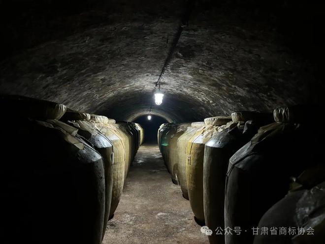 甘肅省商標(biāo)協(xié)會會長羅永平一行九游體育赴臨夏州開展調(diào)研走訪工作(圖10)