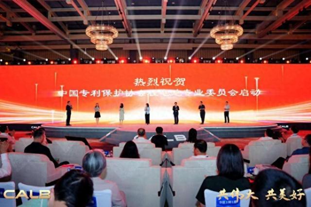 九游體育2024中創(chuàng)新航生態(tài)大會：中國專利保護(hù)協(xié)會鋰電池專業(yè)委員會成立 共謀知識產(chǎn)權(quán)保護(hù)(圖1)