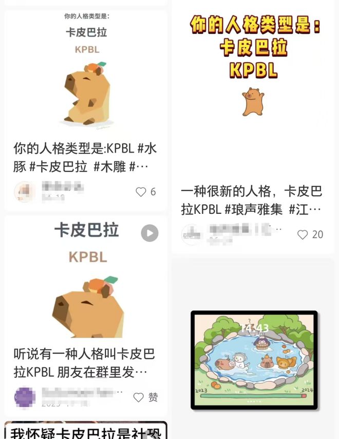 萬物皆可“卡皮巴拉”？商標(biāo)注九游體育冊卻不盡人意……(圖2)