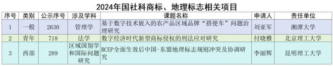 九游體育焦和平 梁龍坤：2024年國(guó)家社科基金知識(shí)產(chǎn)權(quán)項(xiàng)目數(shù)據(jù)分析報(bào)告(圖11)