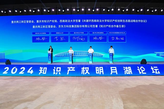 九游體育兩江新區(qū)舉辦2024知識(shí)產(chǎn)權(quán)明月湖論壇(圖2)