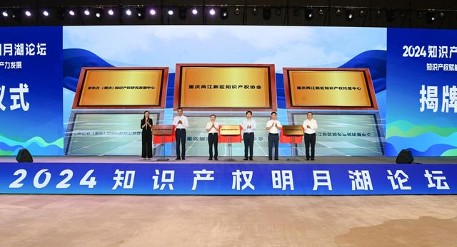 九游體育兩江新區(qū)舉辦2024知識(shí)產(chǎn)權(quán)明月湖論壇(圖3)