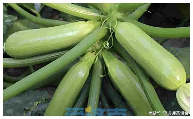 九游體育以注冊商標(biāo)“擦邊”植物新品種濟(jì)南法院判定侵權(quán)！(圖1)
