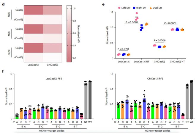 科學(xué)家發(fā)現(xiàn)極小型Cas13j蛋九游體育白擁有100%國內(nèi)自主知識產(chǎn)權(quán)(圖4)